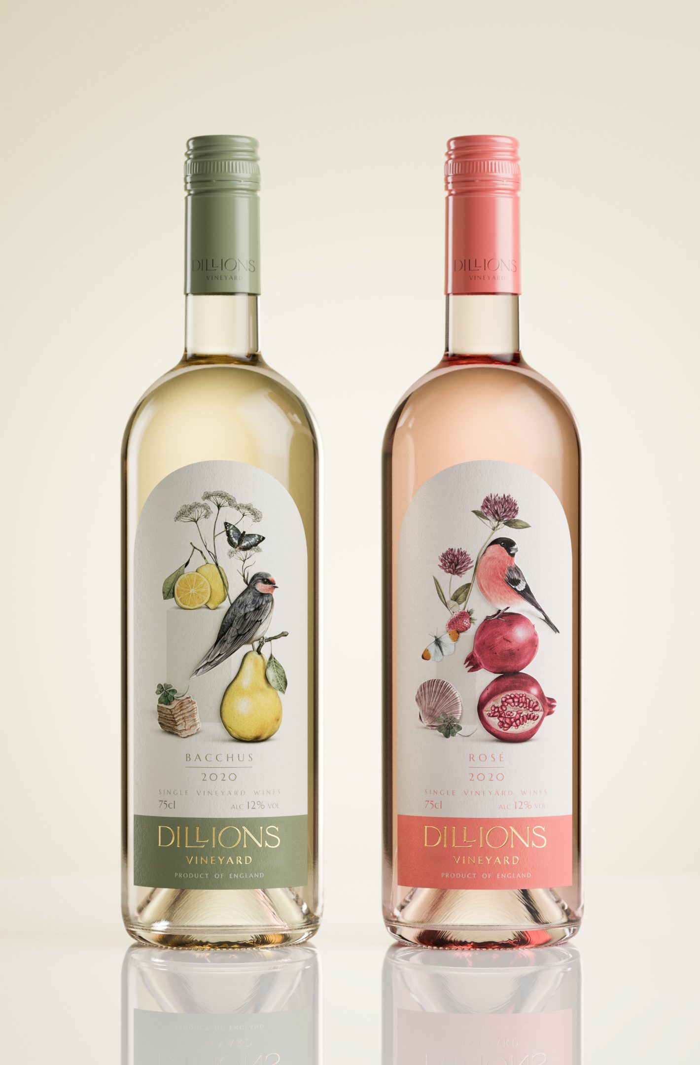 Dillion's English Wine Branding Kingdom & Sparrow