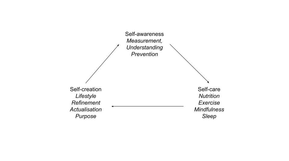 Health and Wellbeing triangle diagram