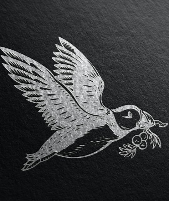Tarquin's puffin design illustration by Kingdom & Sparrow