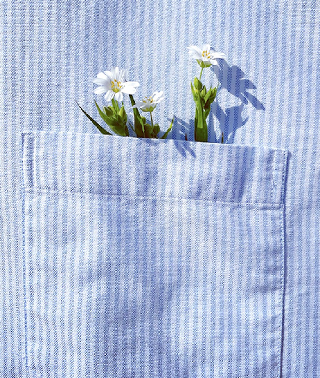 Flowers in a pocket