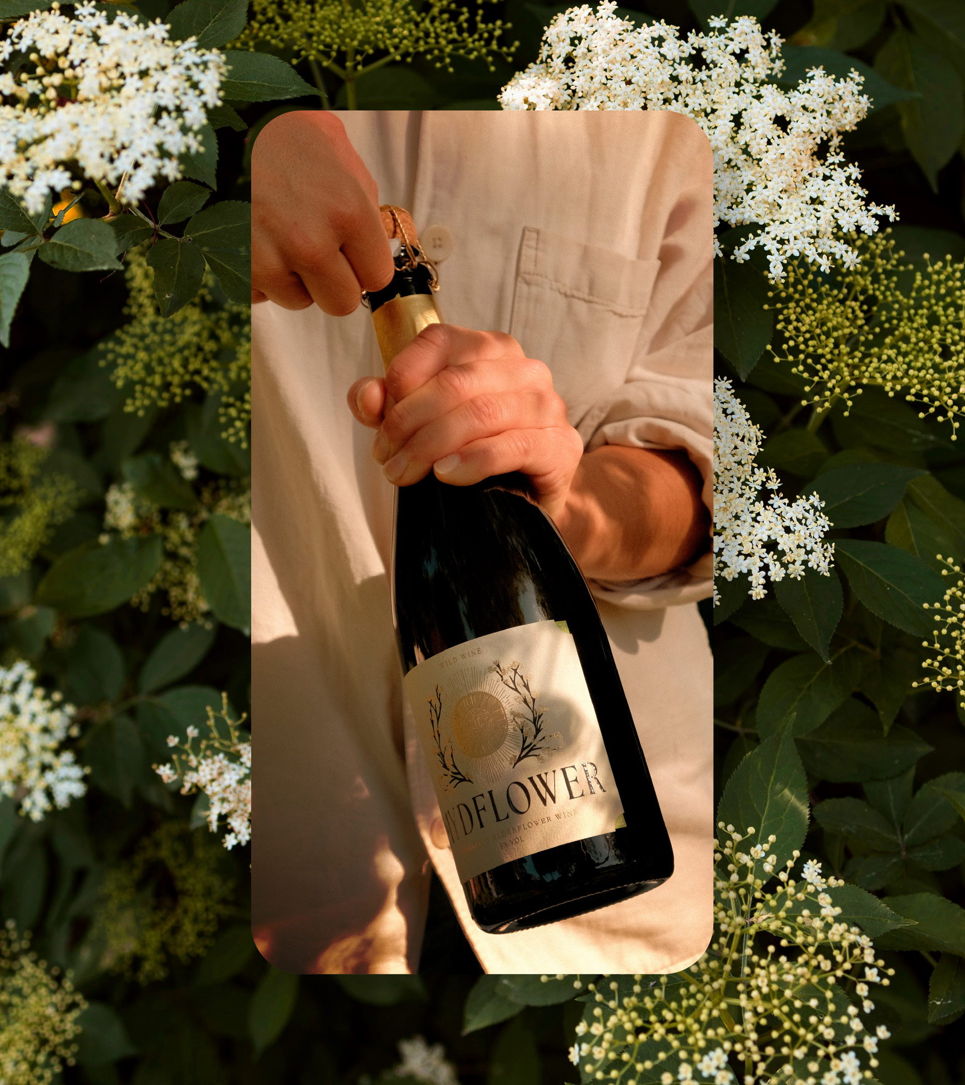 Mydflower Portfolio 11