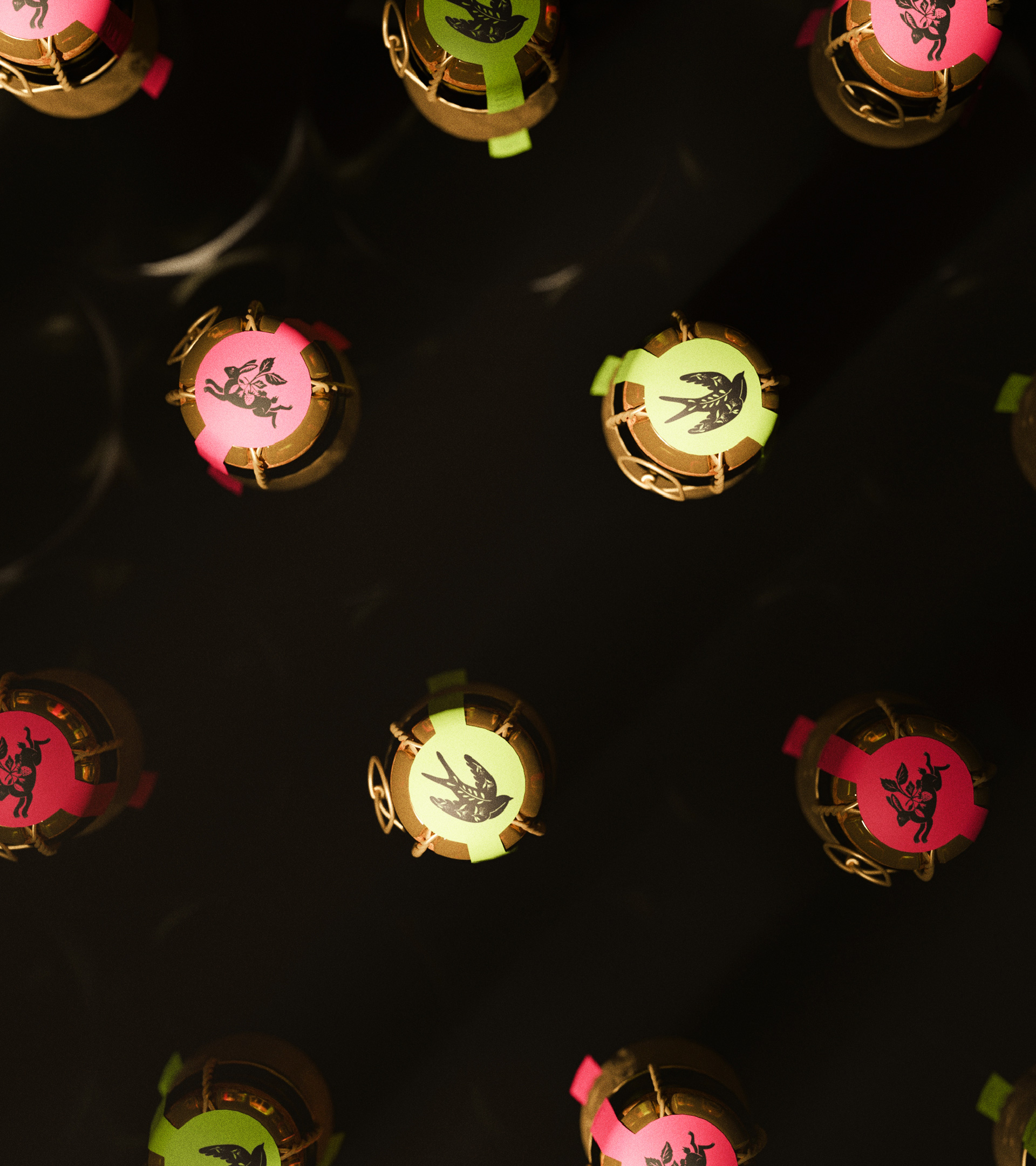 Mydflower Portfolio 14