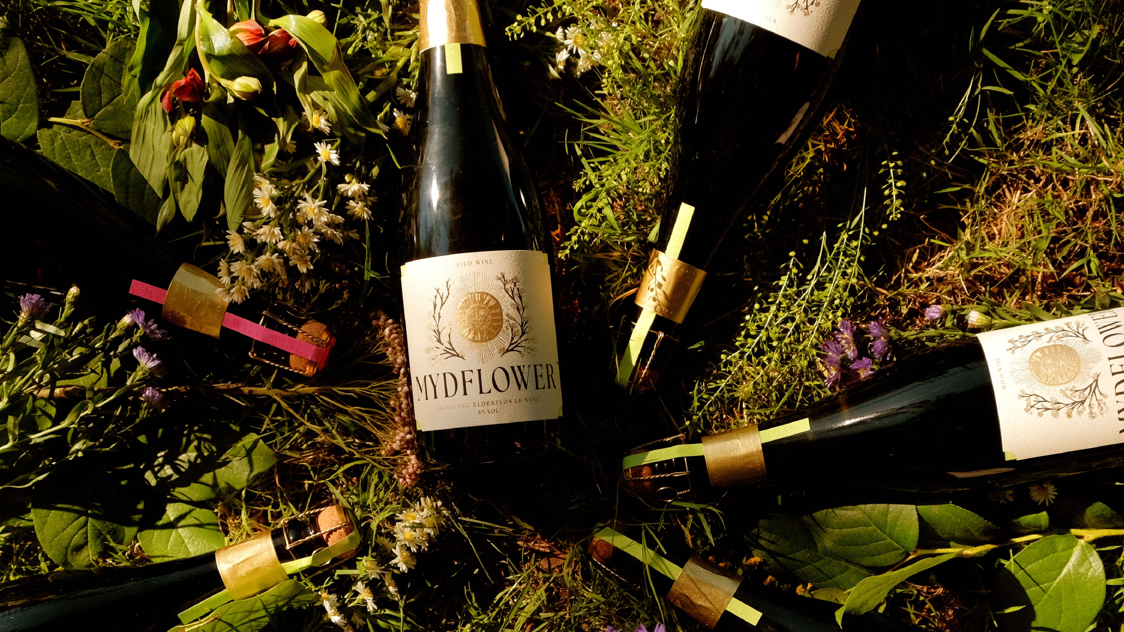 Mydflower Portfolio 15