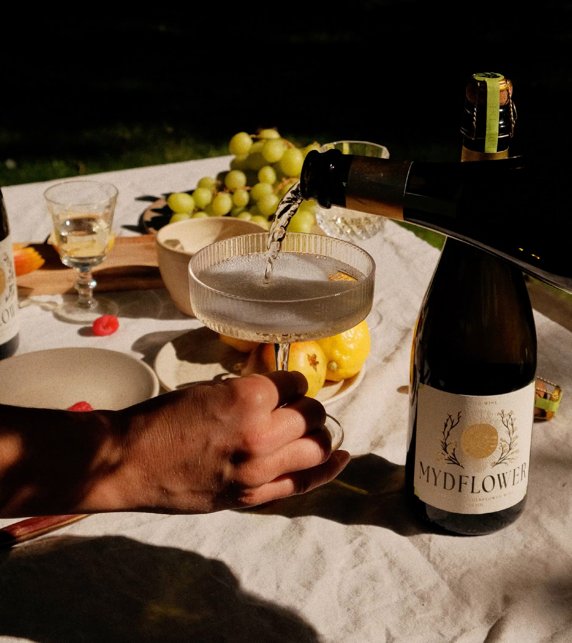 Mydflower Portfolio 3