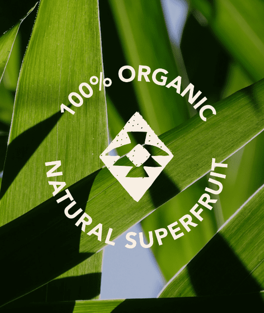 Natural superfruit branding by Kingdom & Sparrow