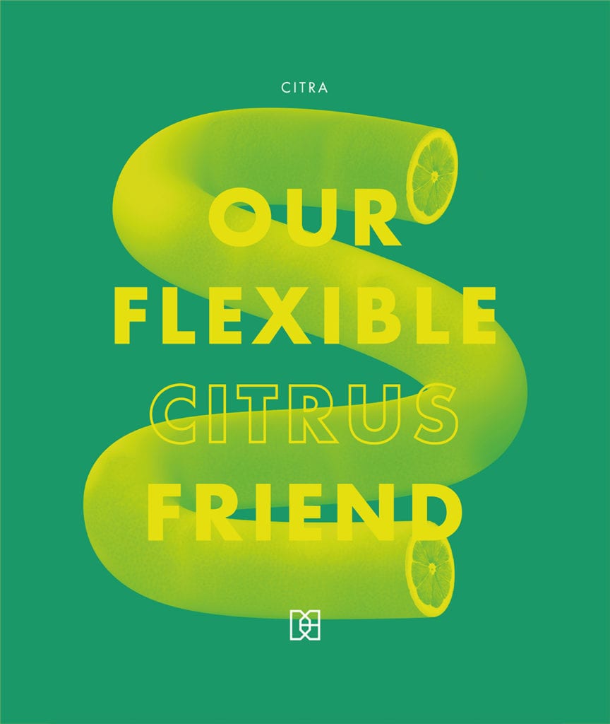 Our flexible citrus friend craft beer graphic