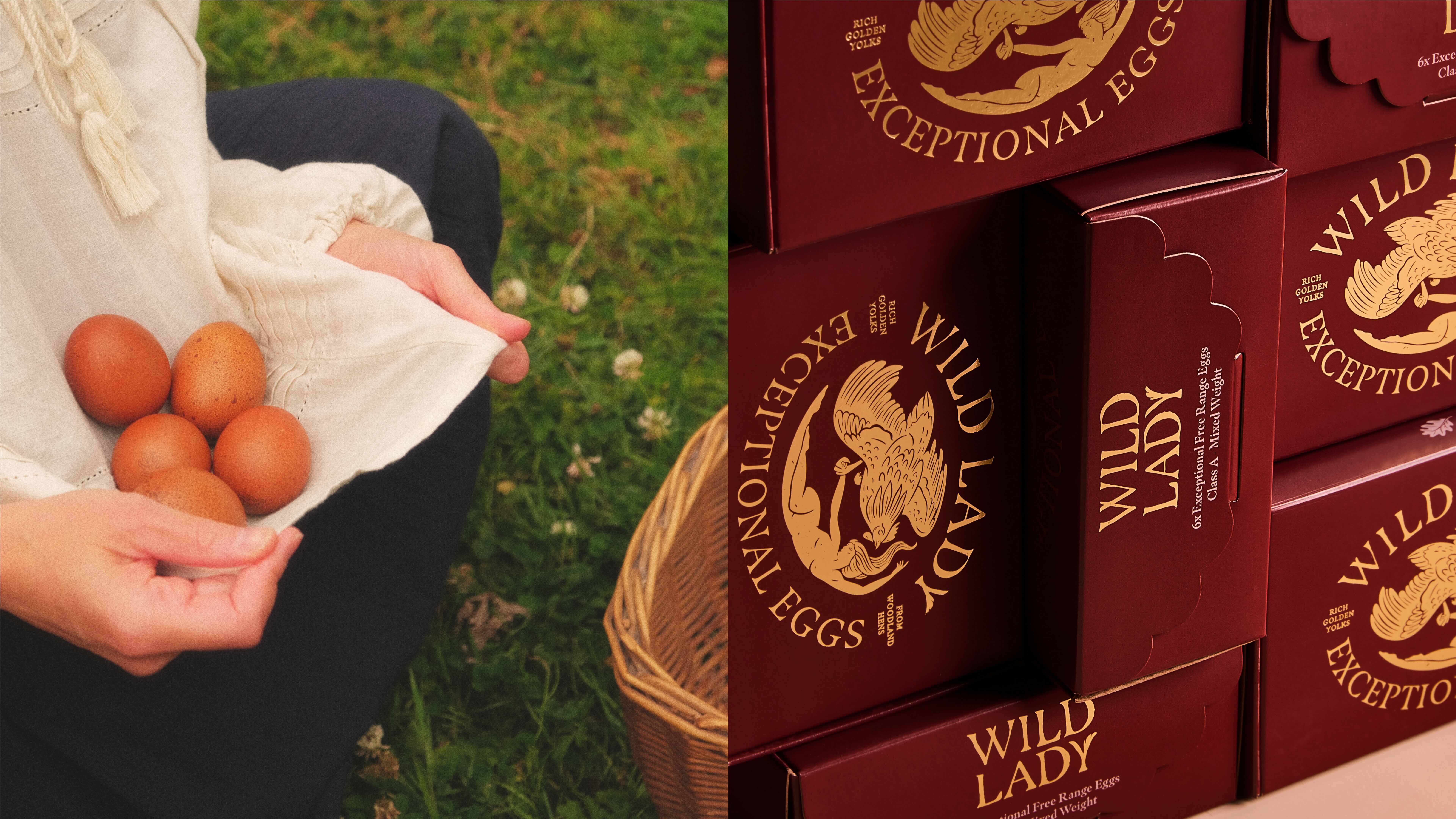 Wild Lady Portfolio