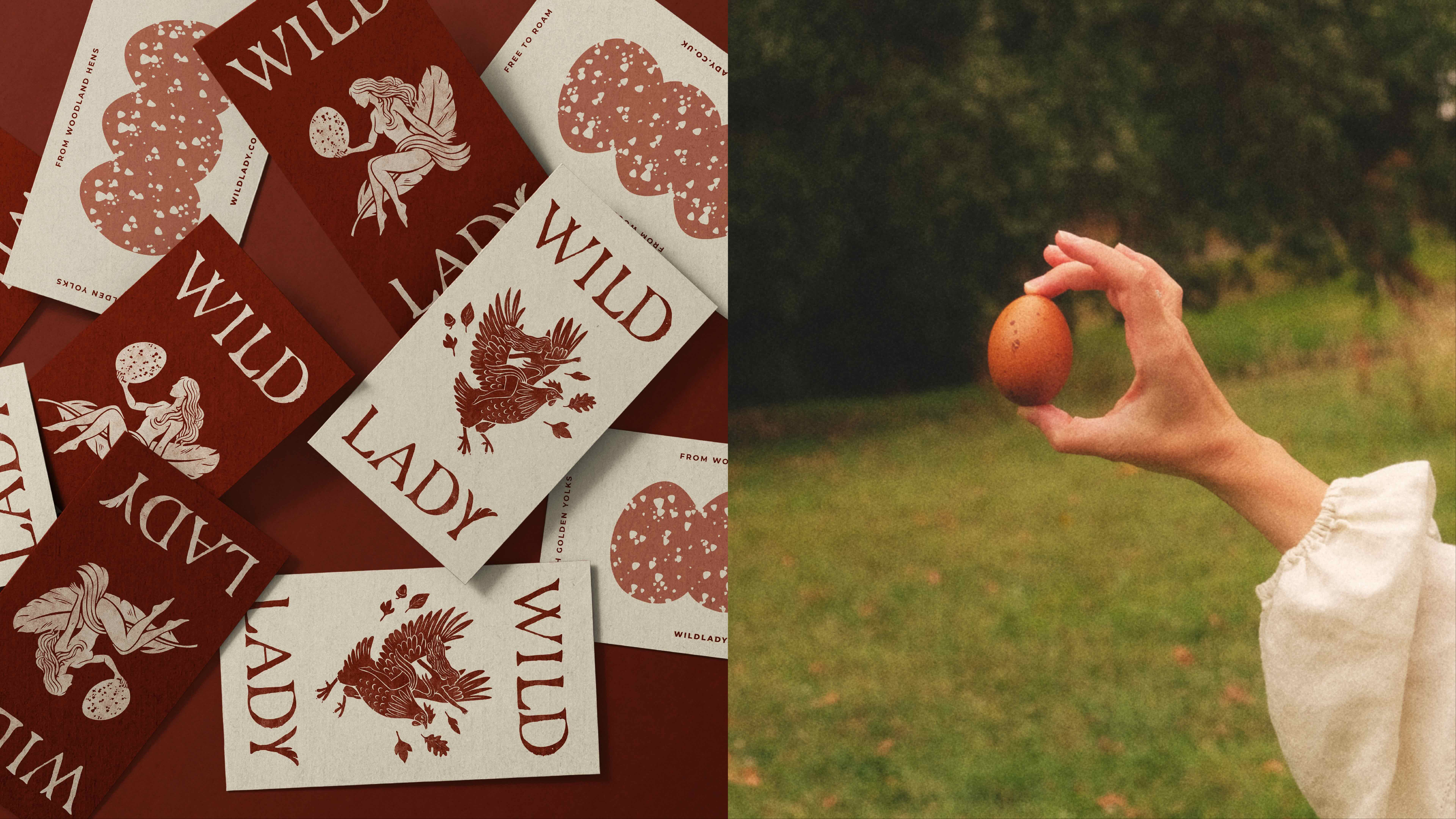Wild Lady Portfolio
