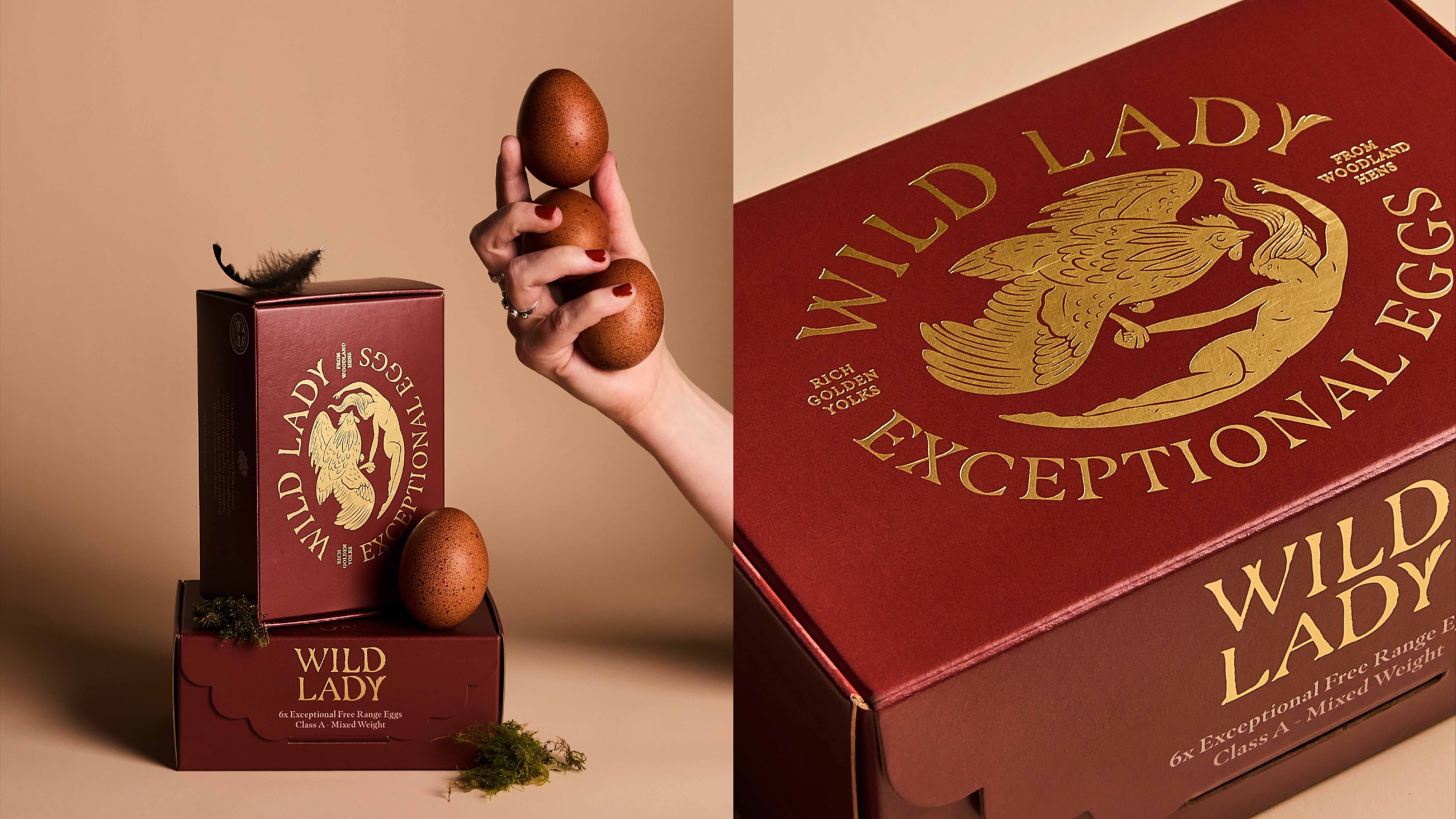 Wild Lady Portfolio